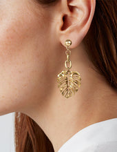 Load image into Gallery viewer, Monstera earrings Tropical plant Leaf earring Nature inspired floral leaves Post earrings