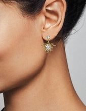 Load image into Gallery viewer, Cubic Zirconia Flower Drop Dangle &amp; Drop Post earring